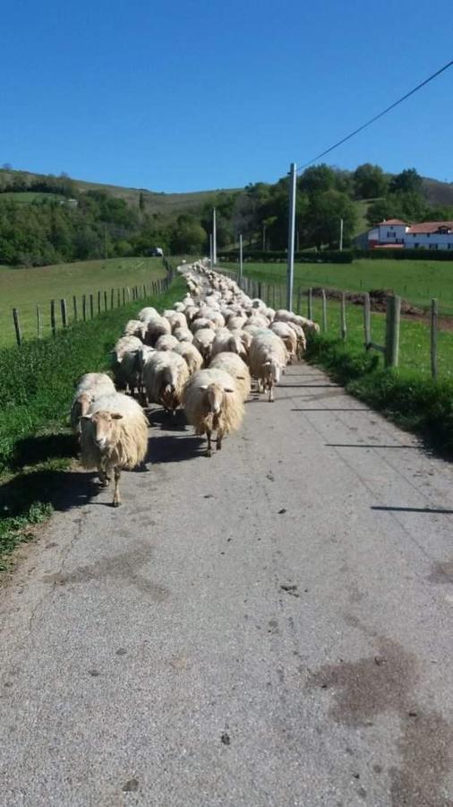 Gite A La Ferme Larranda Suhescun Bagian luar foto