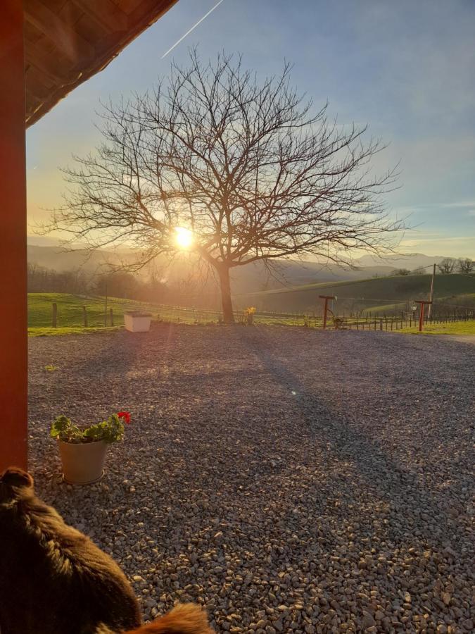 Gite A La Ferme Larranda Suhescun Bagian luar foto